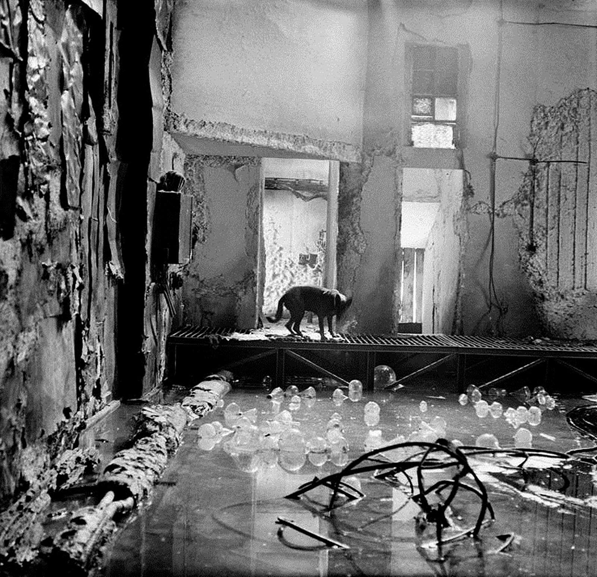 Георгий Пинхасов — фотография
