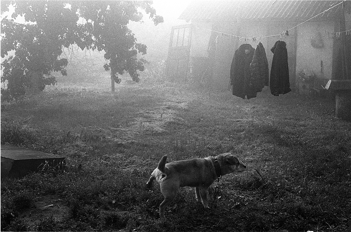 Ольга Агеева — фотография