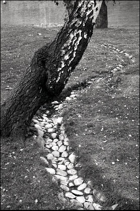 Рис. 9. Фото: Ю. Гавриленко (2005)