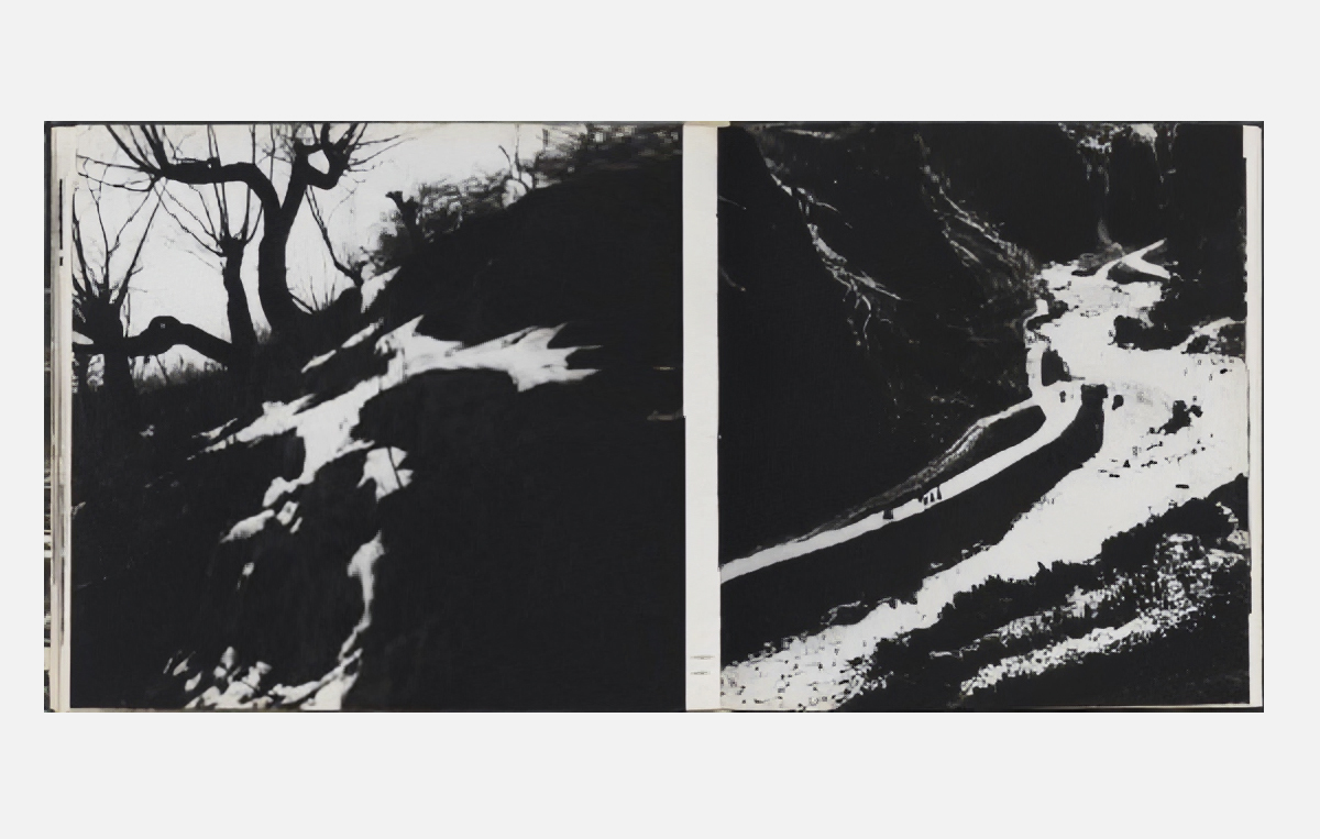 Рис. 17. Edward Hartwig «Fotografika» (1960)