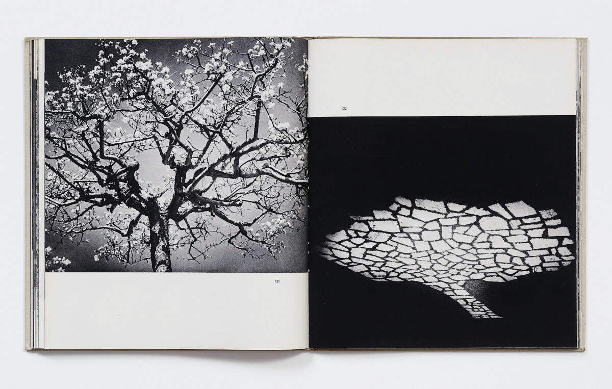 Рис. 18. Edward Hartwig «Fotografika» (1960)