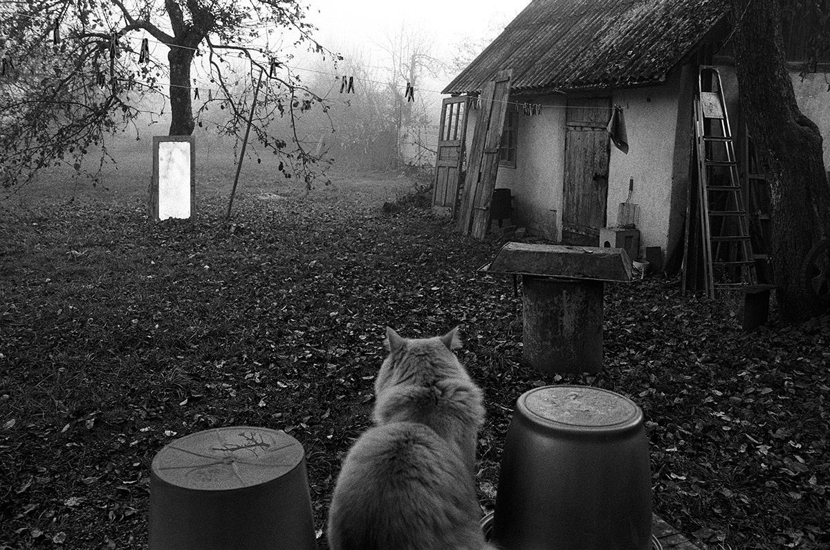 Ольга Агеева — фотография