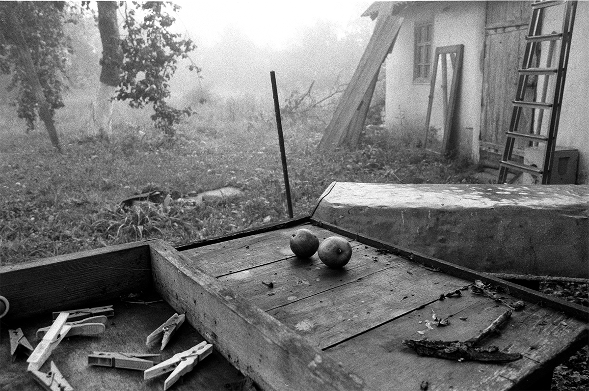 Ольга Агеева — фотография