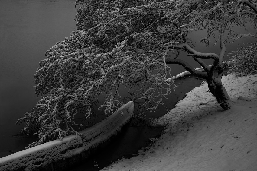 Фото 11. Без названия. Май 2007.