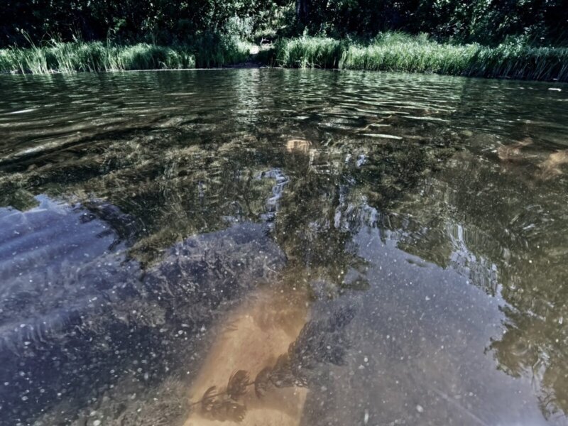 Фотоконкурс «Walk of Water Photostory: Out of Sight»