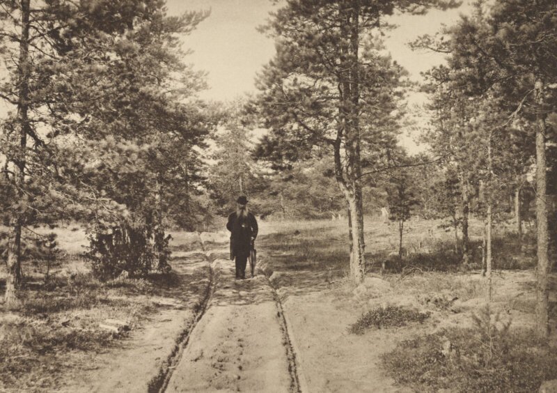 Природа фотографии
