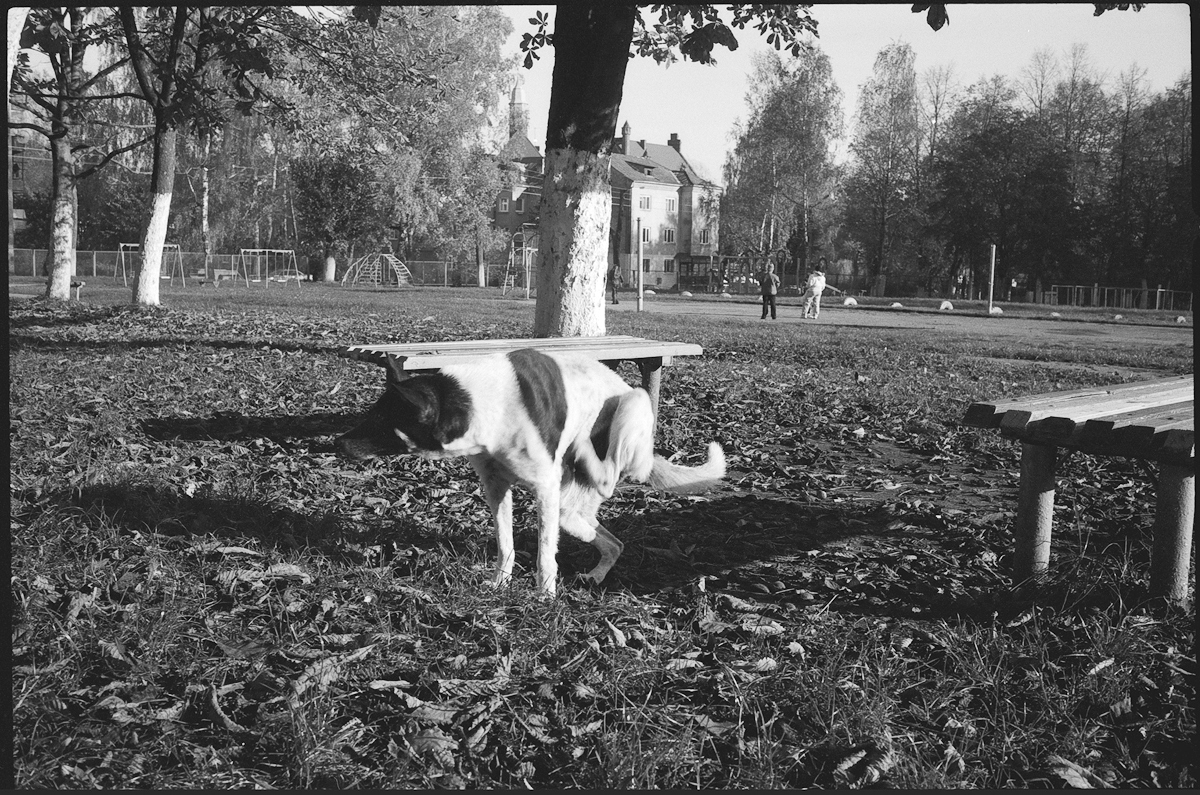 Кадр с первой плёнки. 2012 год